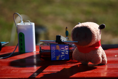 Arcus and the GS at launch